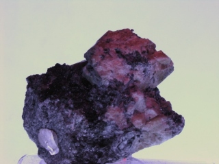 Scheelite - Traversella Mine, Piedmont, Italy